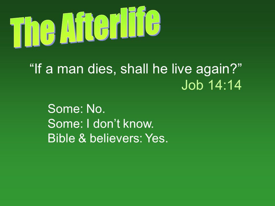 If a man dies, shall he live again Job 14:14 Some: No. Some: I dont know. Bible & believers: Yes.