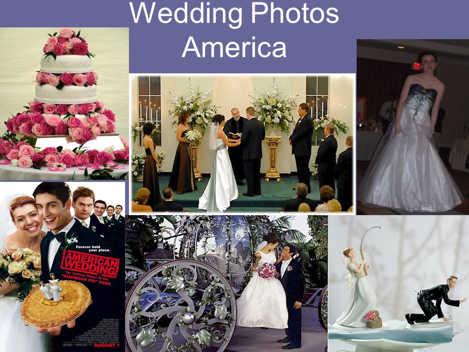 Wedding Photos America