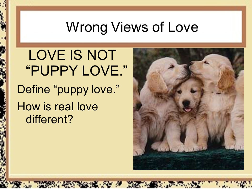 LOVE: A Many Splintered Thing What is love? How can I love my enemy? Love  is used in many ways. Which are correct or incorrect? What does the word  love. - ppt