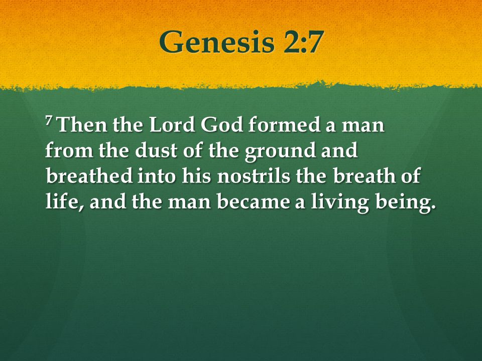 Genesis 2:7 7 Then the Lord God formed a man from the dust of the ground and breathed into his nostrils the breath of life, and the man became a living being.