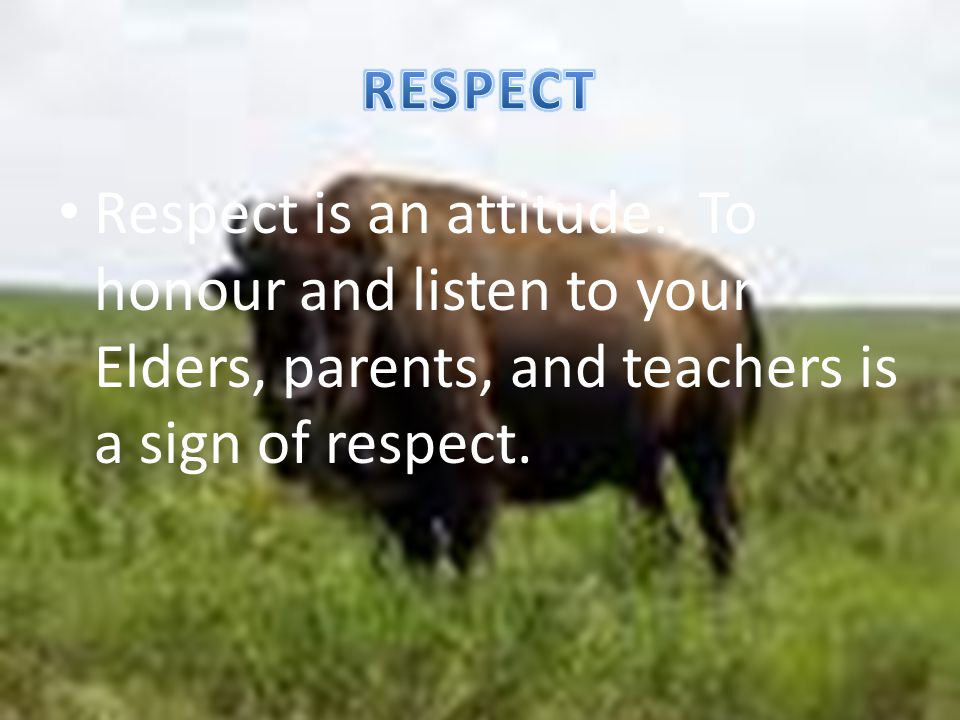 Respect is an attitude.
