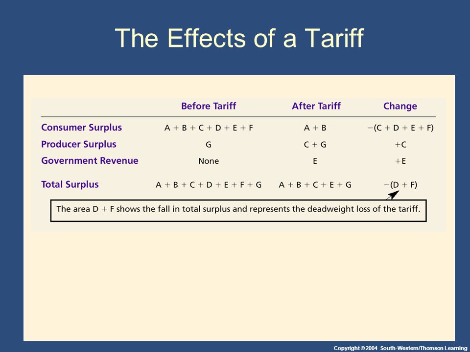 Copyright © 2004 South-Western/Thomson Learning The Effects of a Tariff