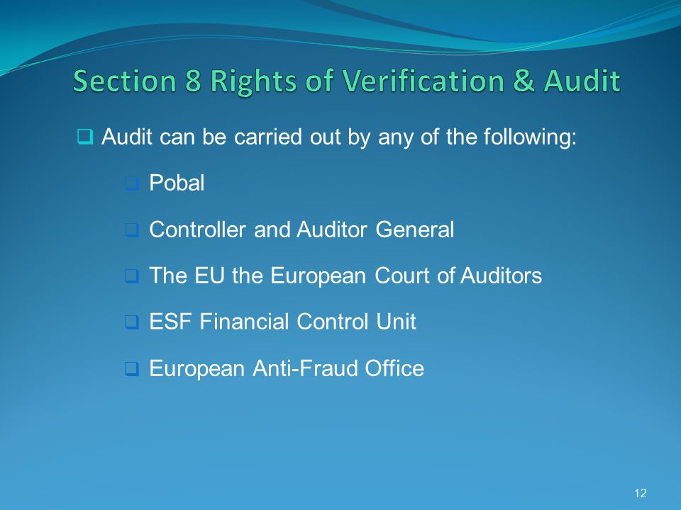 Audit can be carried out by any of the following: Pobal Controller and Auditor General The EU the European Court of Auditors ESF Financial Control Unit European Anti-Fraud Office 12