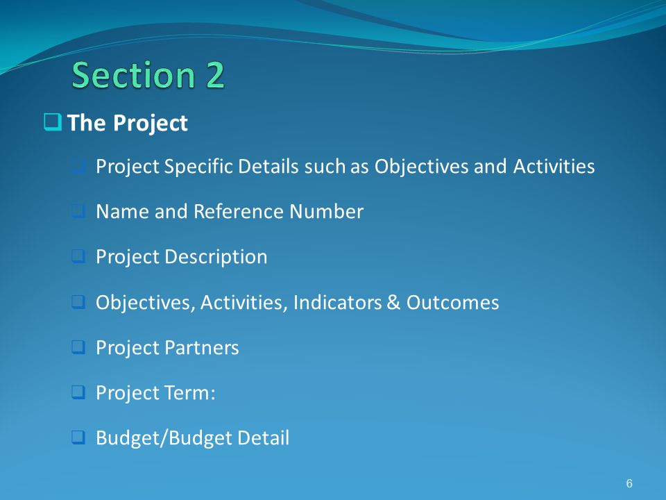 The Project Project Specific Details such as Objectives and Activities Name and Reference Number Project Description Objectives, Activities, Indicators & Outcomes Project Partners Project Term: Budget/Budget Detail 6