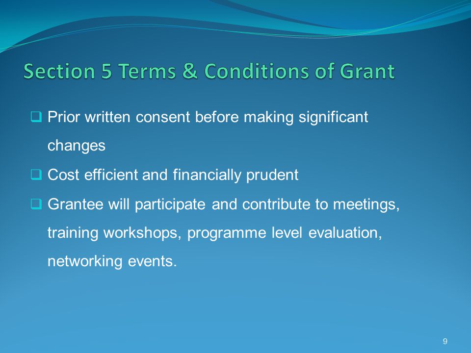 Prior written consent before making significant changes Cost efficient and financially prudent Grantee will participate and contribute to meetings, training workshops, programme level evaluation, networking events.