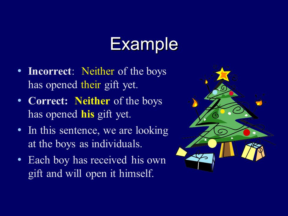 Example Incorrect: Neither of the boys has opened their gift yet.