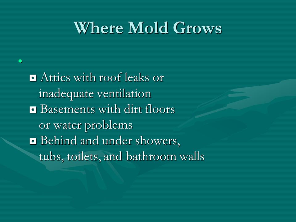 Where Mold Grows Attics with roof leaks or inadequate ventilation Basements with dirt floors or water problems Behind and under showers, tubs, toilets, and bathroom walls Attics with roof leaks or inadequate ventilation Basements with dirt floors or water problems Behind and under showers, tubs, toilets, and bathroom walls
