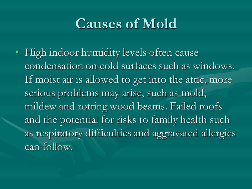 Causes of Mold High indoor humidity levels often cause condensation on cold surfaces such as windows.