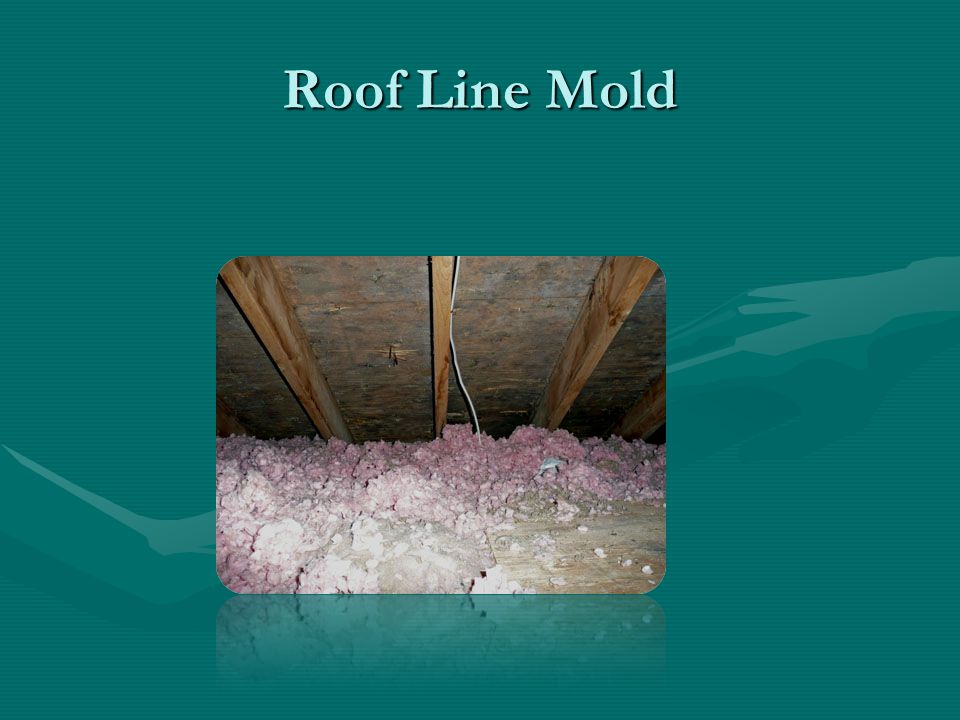 Roof Line Mold