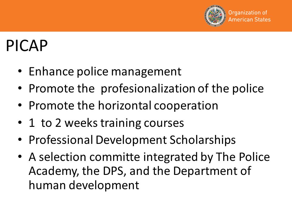 PICAP Enhance police management Promote the profesionalization of the police Promote the horizontal cooperation 1 to 2 weeks training courses Professional Development Scholarships A selection committe integrated by The Police Academy, the DPS, and the Department of human development