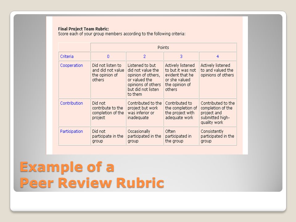Example of a Peer Review Rubric