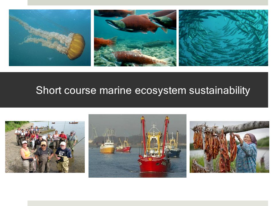 Short course marine ecosystem sustainability
