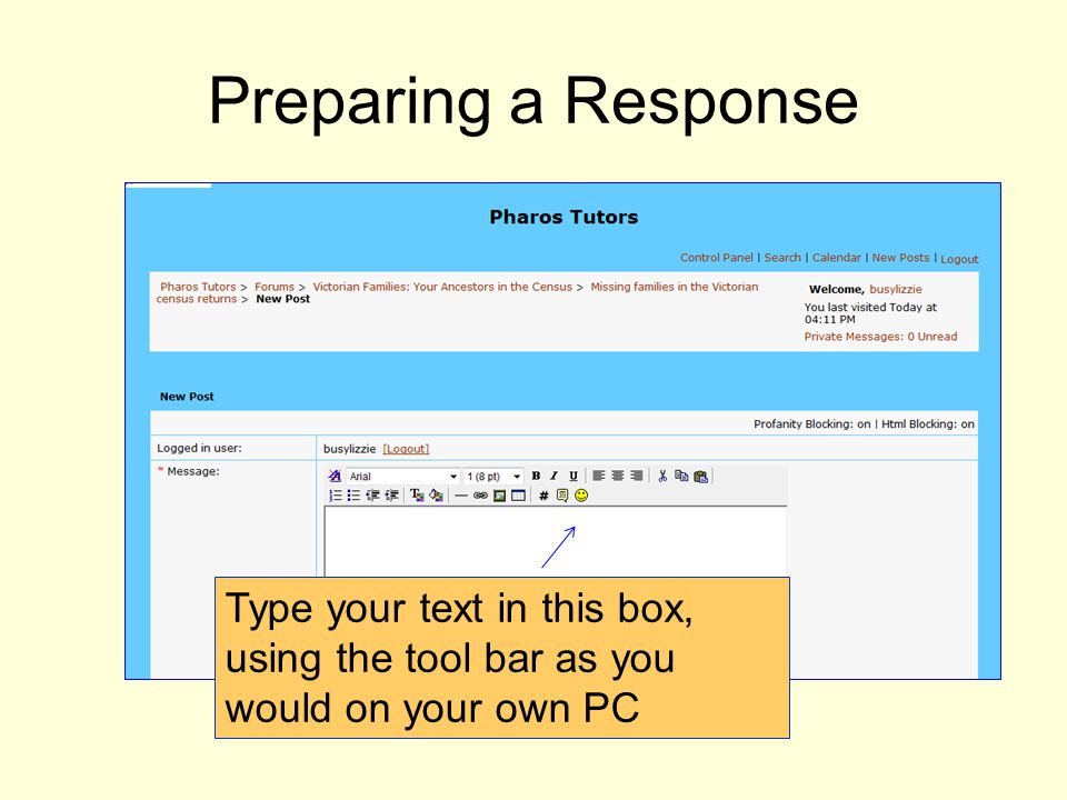 Type your text in this box, using the tool bar as you would on your own PC Preparing a Response