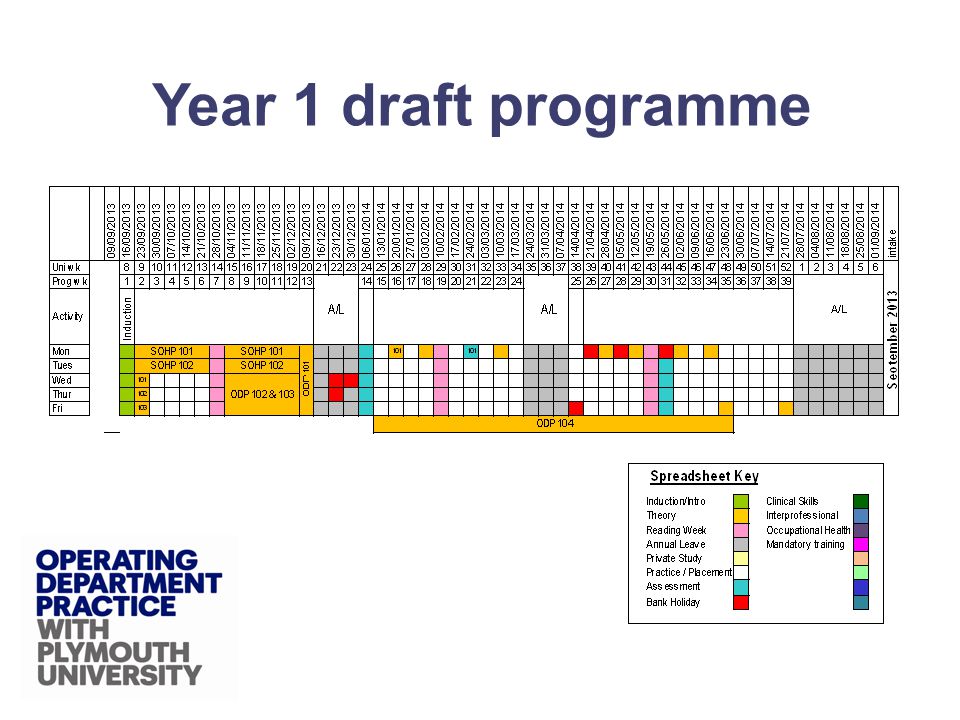 Year 1 draft programme