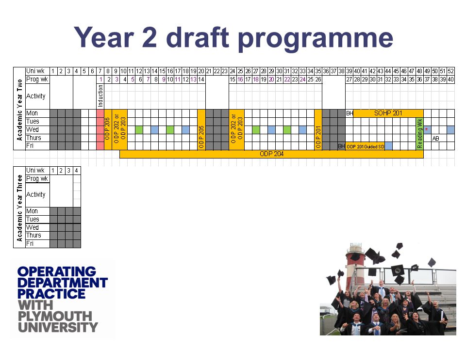Year 2 draft programme