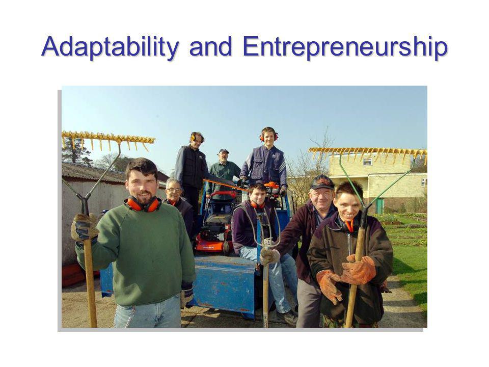 Adaptability and Entrepreneurship