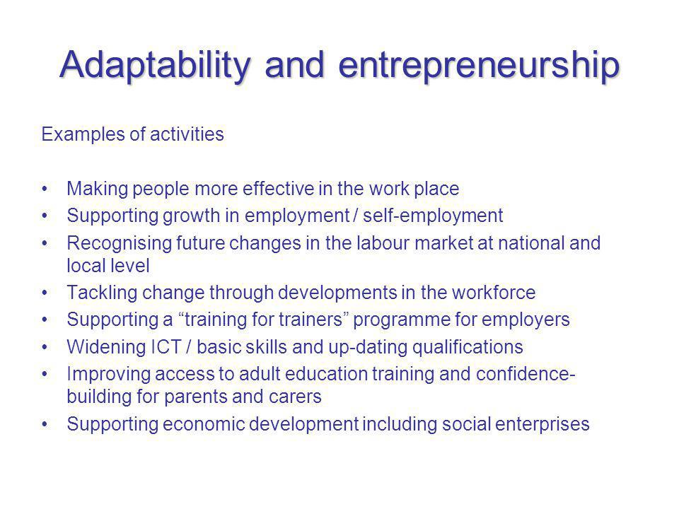 Adaptability and entrepreneurship Examples of activities Making people more effective in the work place Supporting growth in employment / self-employment Recognising future changes in the labour market at national and local level Tackling change through developments in the workforce Supporting a training for trainers programme for employers Widening ICT / basic skills and up-dating qualifications Improving access to adult education training and confidence- building for parents and carers Supporting economic development including social enterprises