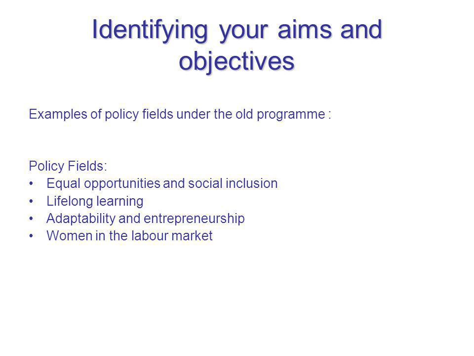 Identifying your aims and objectives Examples of policy fields under the old programme : Policy Fields: Equal opportunities and social inclusion Lifelong learning Adaptability and entrepreneurship Women in the labour market