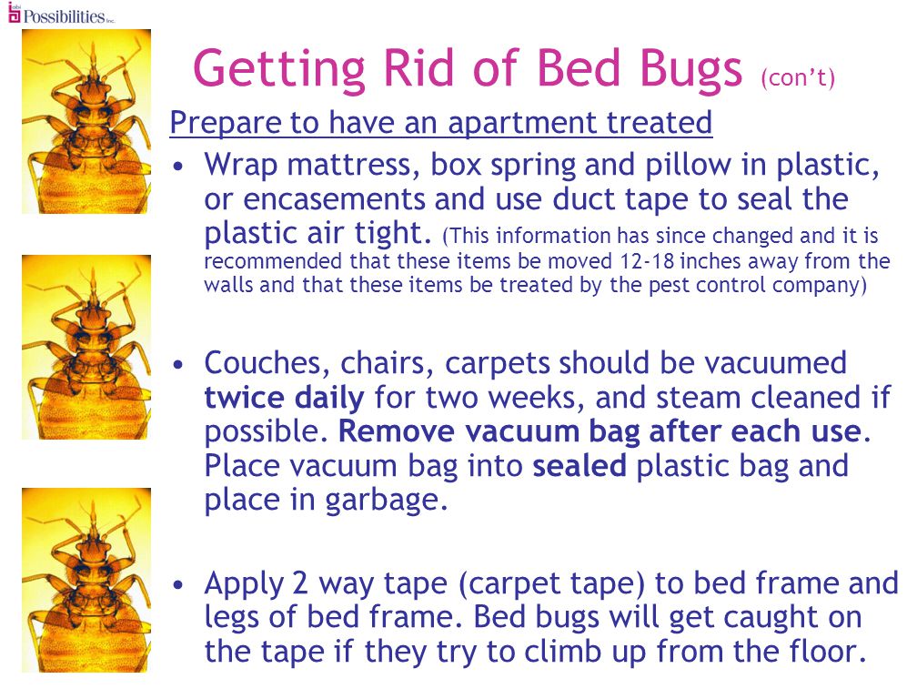 Getting Rid of Bed Bugs (cont) Prepare to have an apartment treated Wrap mattress, box spring and pillow in plastic, or encasements and use duct tape to seal the plastic air tight.