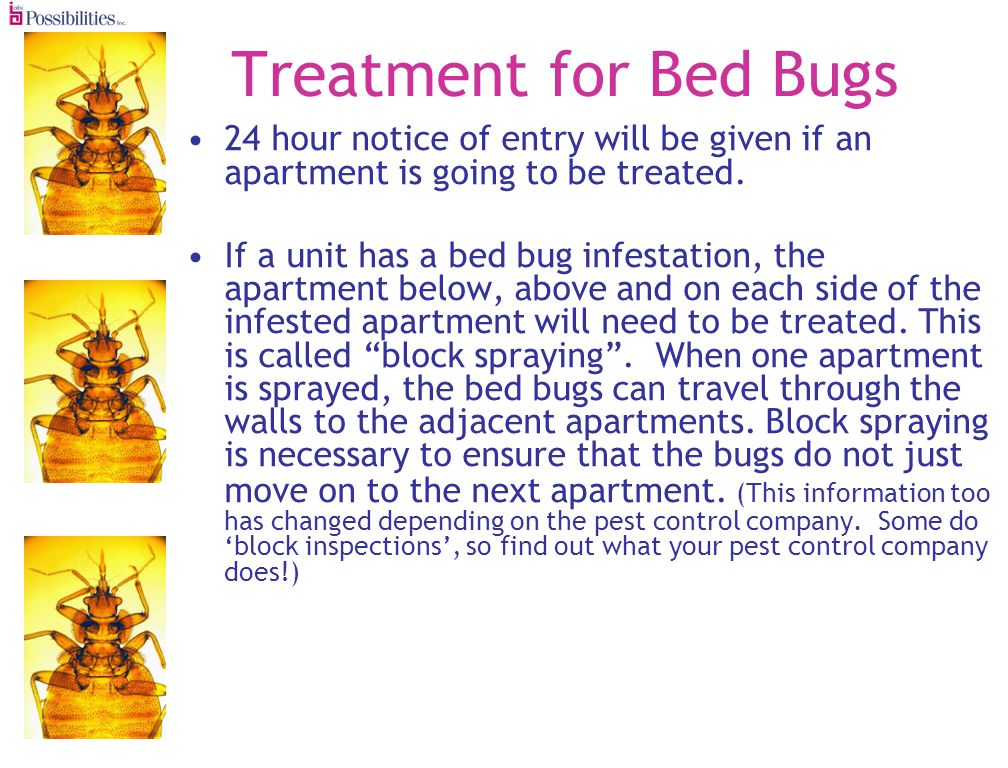 Treatment for Bed Bugs 24 hour notice of entry will be given if an apartment is going to be treated.