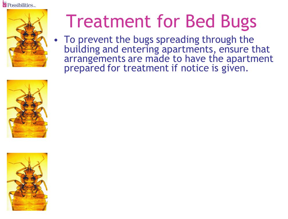 Treatment for Bed Bugs To prevent the bugs spreading through the building and entering apartments, ensure that arrangements are made to have the apartment prepared for treatment if notice is given.