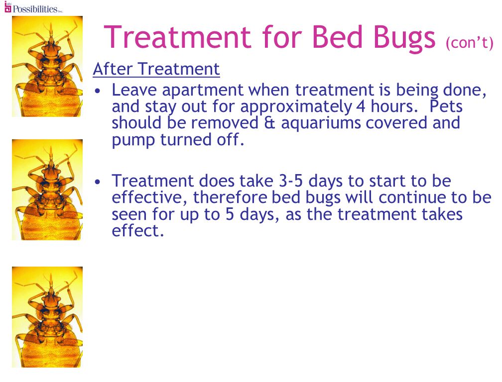 Treatment for Bed Bugs (cont) After Treatment Leave apartment when treatment is being done, and stay out for approximately 4 hours.