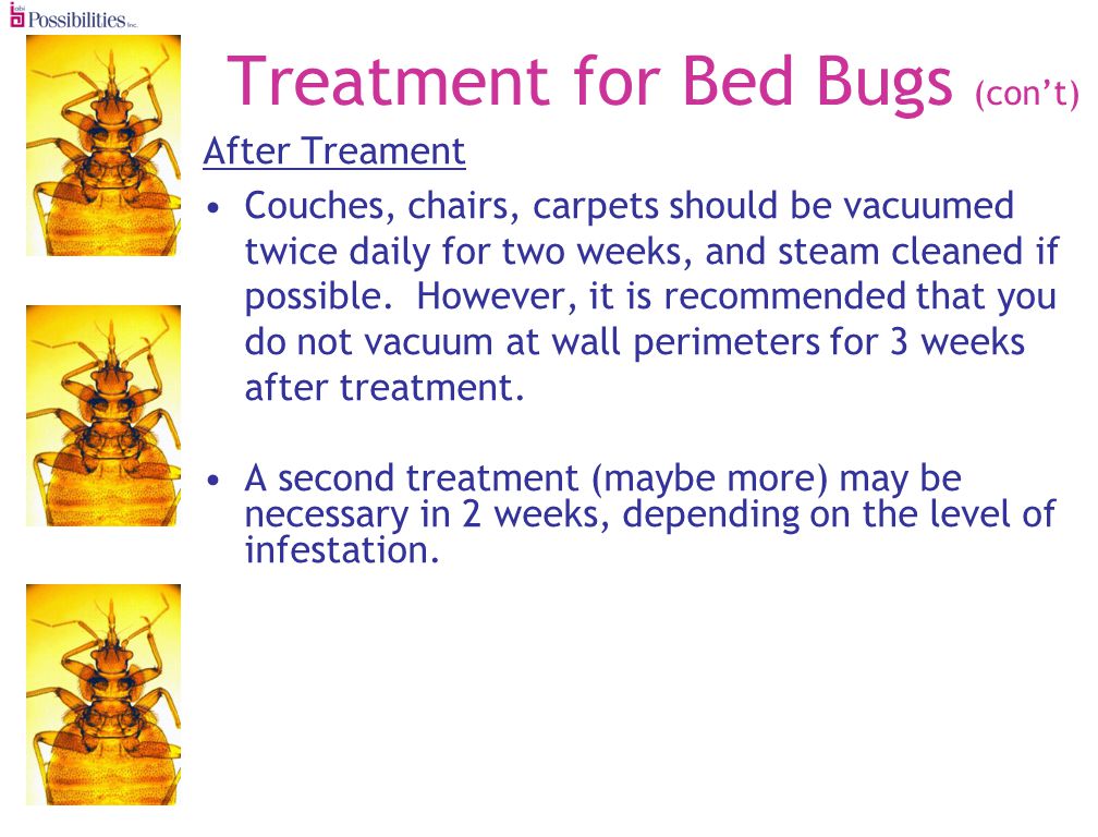 Treatment for Bed Bugs (cont) After Treament Couches, chairs, carpets should be vacuumed twice daily for two weeks, and steam cleaned if possible.