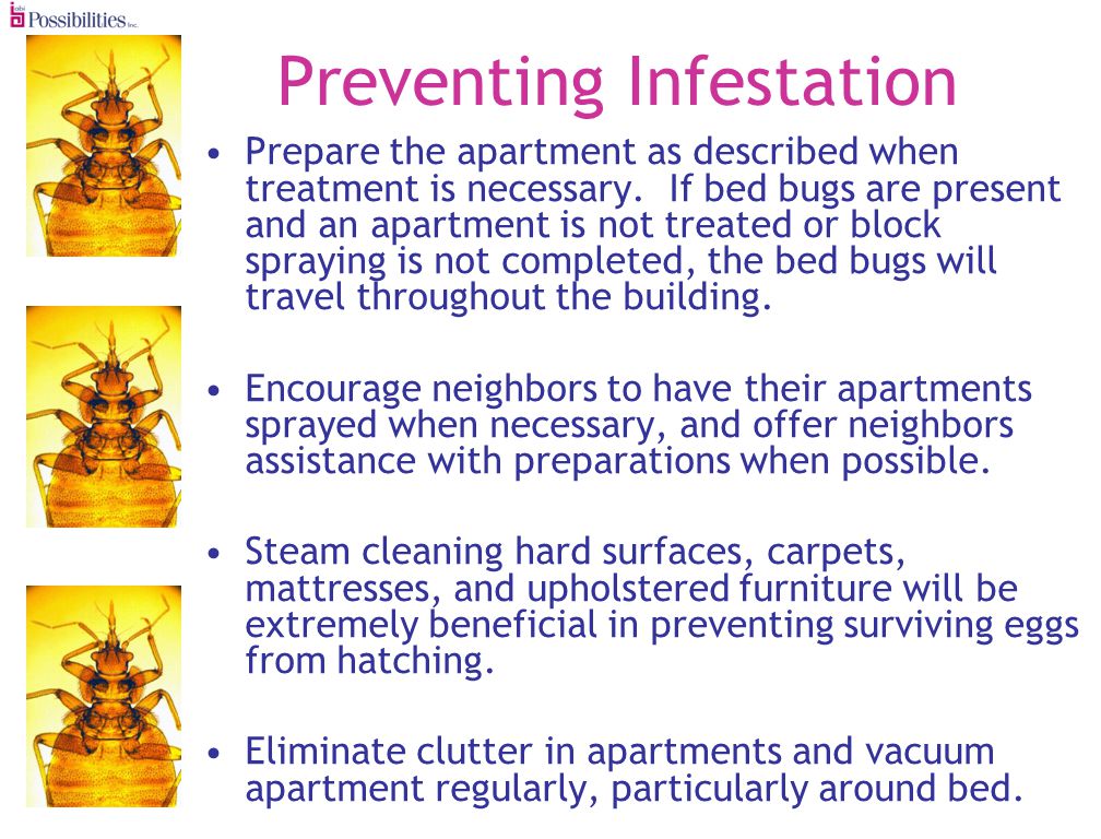 Preventing Infestation Prepare the apartment as described when treatment is necessary.