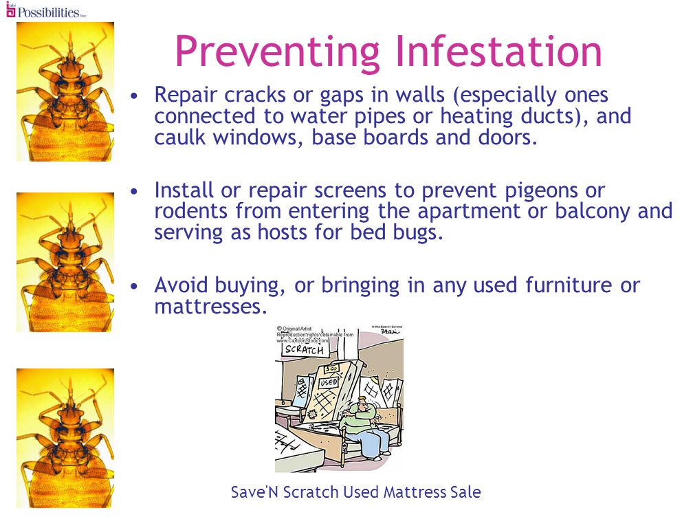 Preventing Infestation Repair cracks or gaps in walls (especially ones connected to water pipes or heating ducts), and caulk windows, base boards and doors.