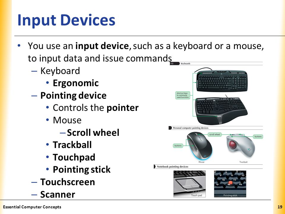 XP Input Devices You use an input device, such as a keyboard or a mouse, to input data and issue commands – Keyboard Ergonomic – Pointing device Controls the pointer Mouse – Scroll wheel Trackball Touchpad Pointing stick – Touchscreen – Scanner 19Essential Computer Concepts
