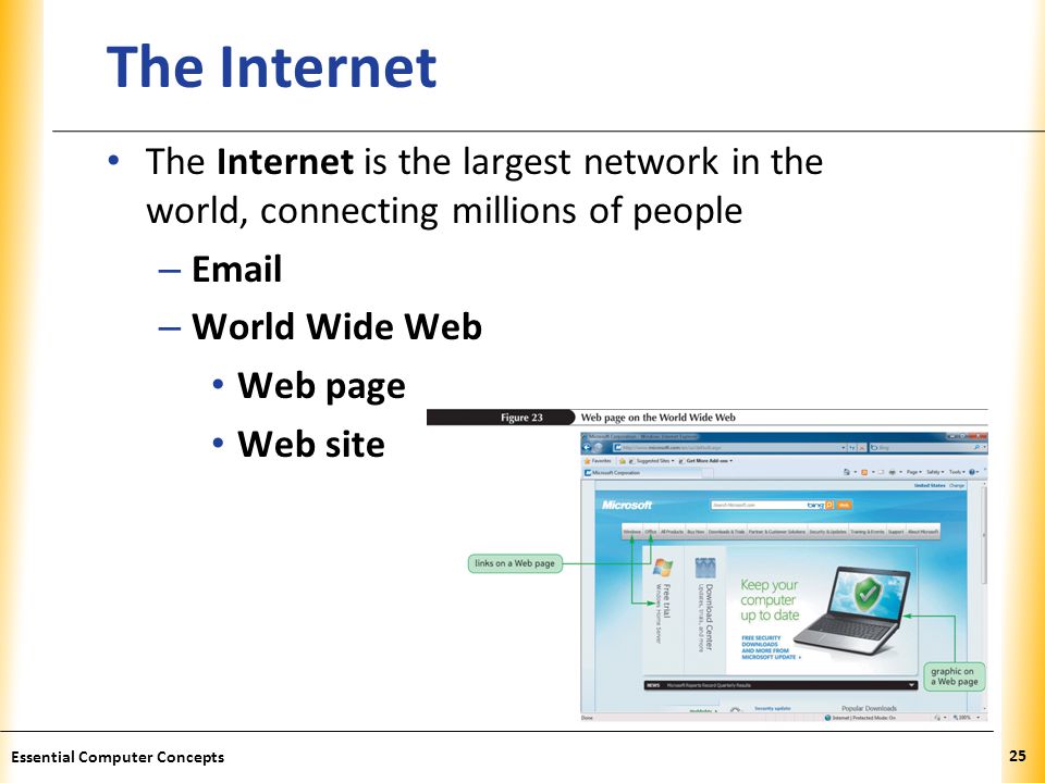 XP The Internet The Internet is the largest network in the world, connecting millions of people –  – World Wide Web Web page Web site 25 Essential Computer Concepts