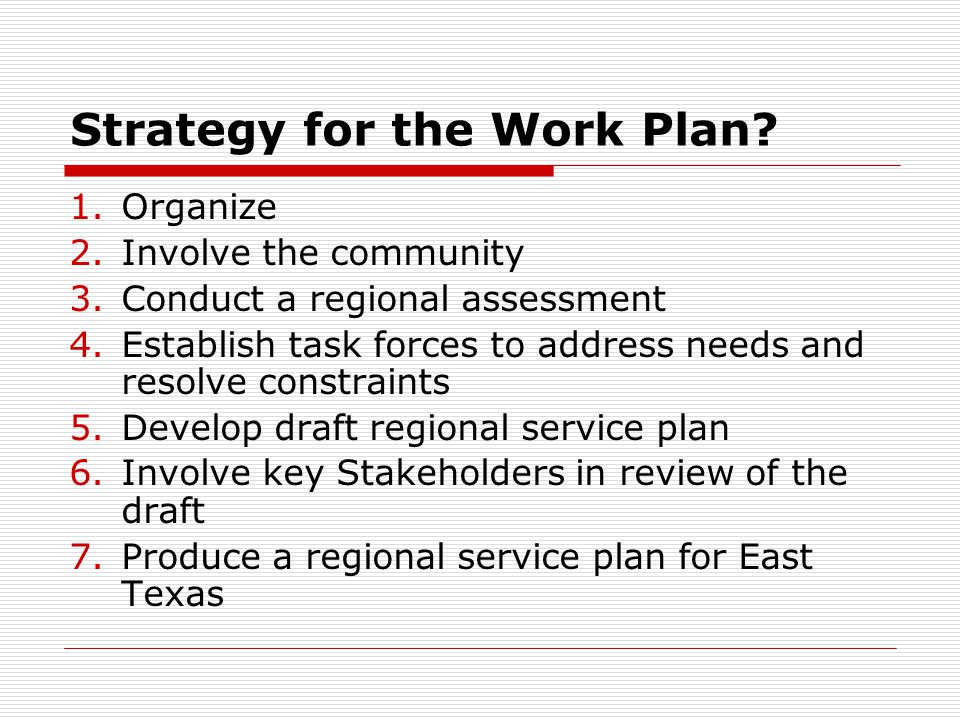 Strategy for the Work Plan.