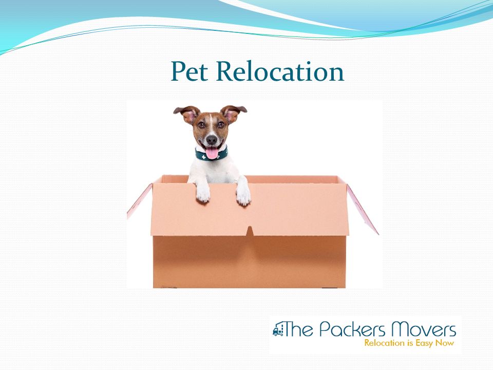 At Thepackersmovers Com Get Best Quotes For Movers And Packers Charges In Hyderabad Ppt Download