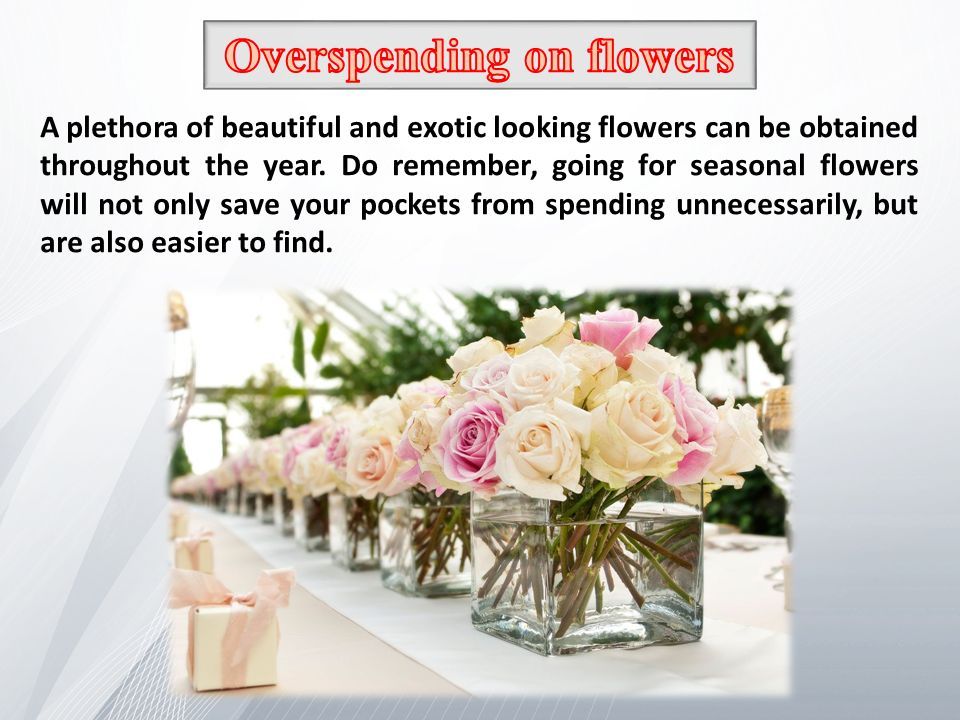 A plethora of beautiful and exotic looking flowers can be obtained throughout the year.