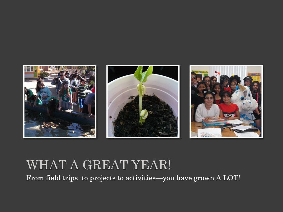 WHAT A GREAT YEAR! From field trips to projects to activitiesyou have grown A LOT!