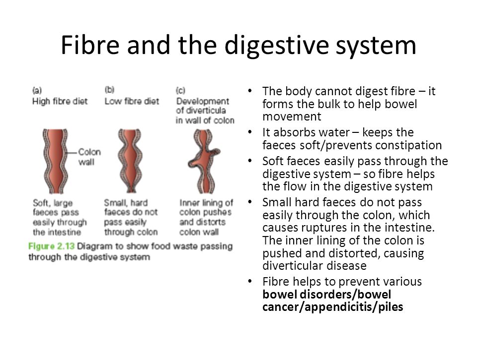Fibre and the digestive system The body cannot digest fibre – it forms the bulk to help bowel movement It absorbs water – keeps the faeces soft/prevents constipation Soft faeces easily pass through the digestive system – so fibre helps the flow in the digestive system Small hard faeces do not pass easily through the colon, which causes ruptures in the intestine.