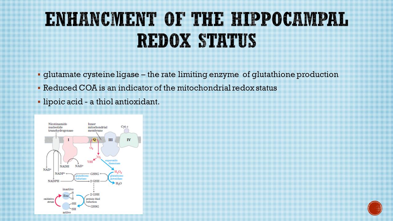 glutamate cysteine ligase – the rate limiting enzyme of glutathione production Reduced COA is an indicator of the mitochondrial redox status lipoic acid - a thiol antioxidant.