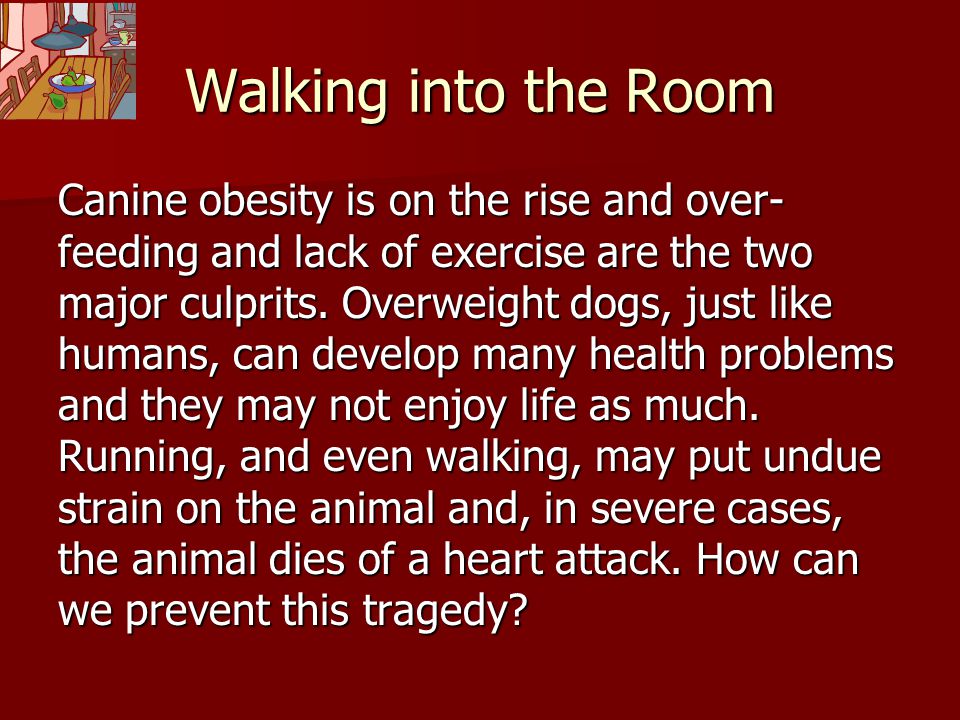 Walking into the Room Canine obesity is on the rise and over- feeding and lack of exercise are the two major culprits.