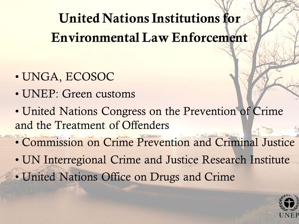 United Nations Institutions for Environmental Law Enforcement UNGA, ECOSOC UNEP: Green customs United Nations Congress on the Prevention of Crime and the Treatment of Offenders Commission on Crime Prevention and Criminal Justice UN Interregional Crime and Justice Research Institute United Nations Office on Drugs and Crime