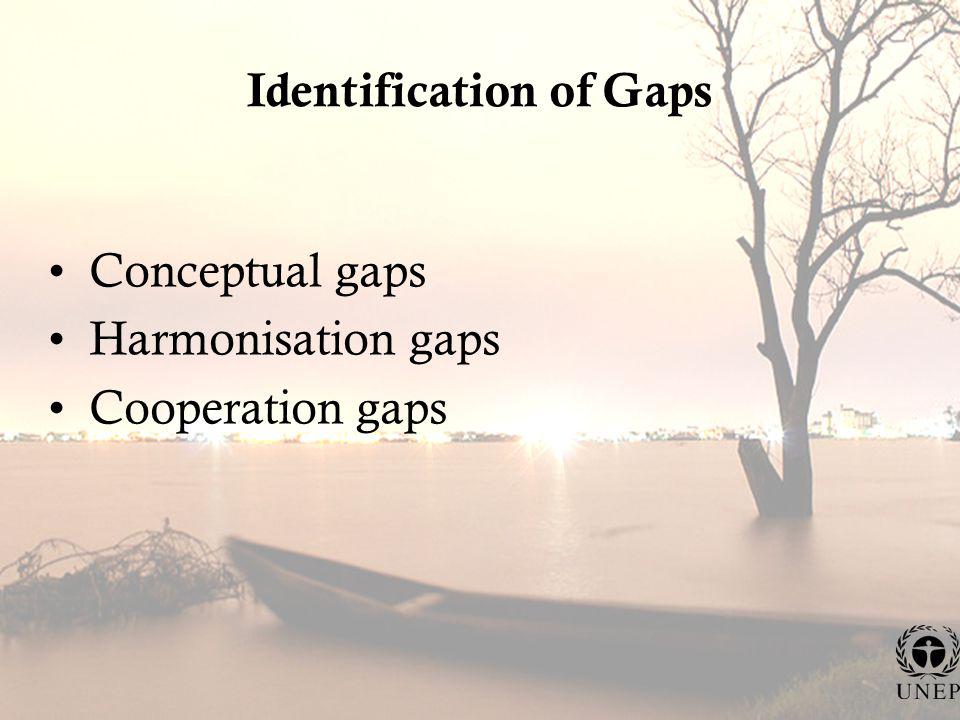 Identification of Gaps Conceptual gaps Harmonisation gaps Cooperation gaps