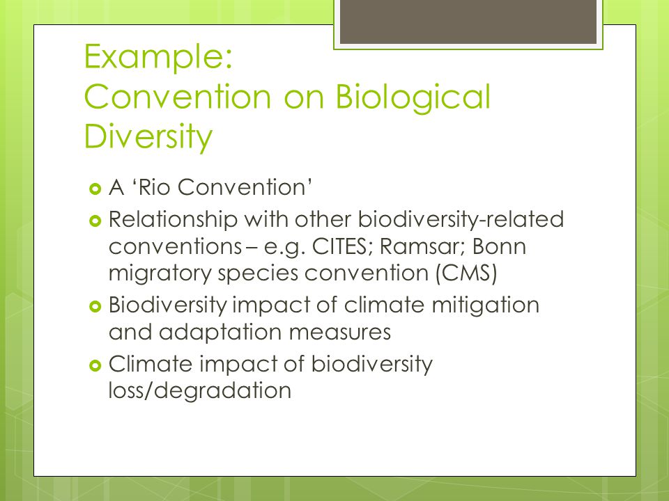 Example: Convention on Biological Diversity A Rio Convention Relationship with other biodiversity-related conventions – e.g.