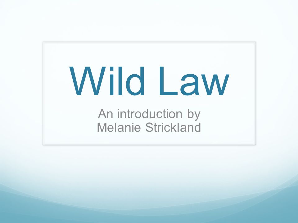 Wild Law An introduction by Melanie Strickland