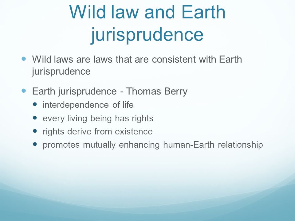 Wild law and Earth jurisprudence Wild laws are laws that are consistent with Earth jurisprudence Earth jurisprudence - Thomas Berry interdependence of life every living being has rights rights derive from existence promotes mutually enhancing human-Earth relationship