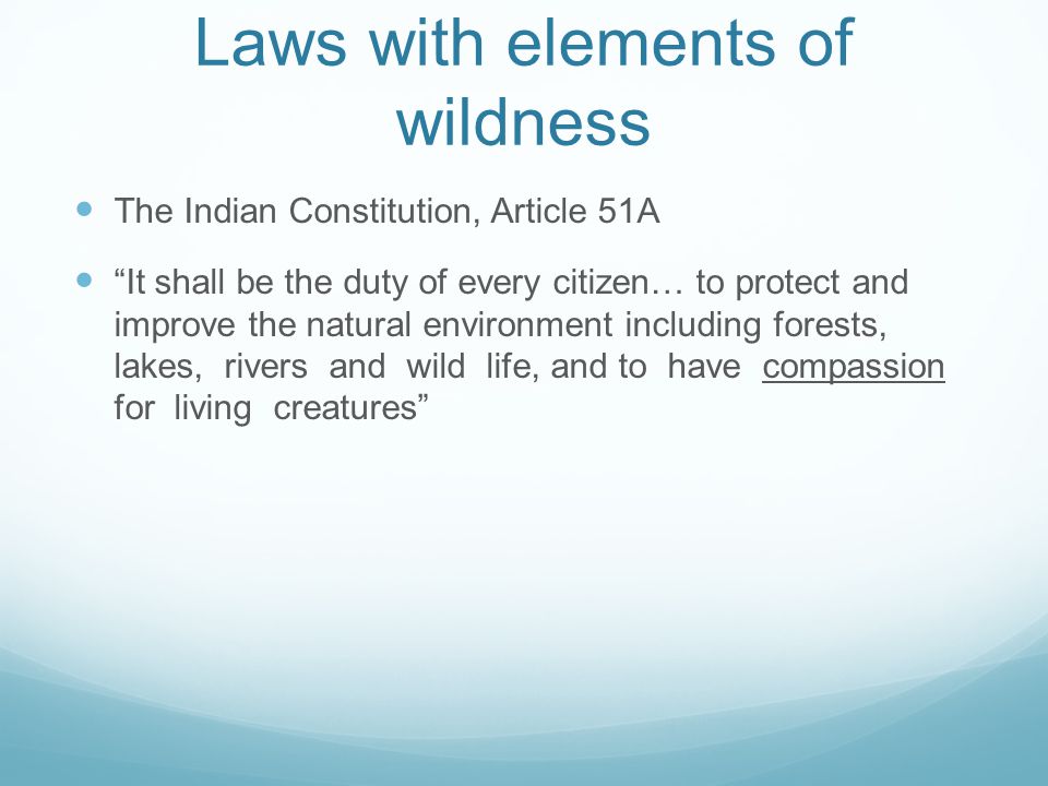 Laws with elements of wildness The Indian Constitution, Article 51A It shall be the duty of every citizen… to protect and improve the natural environment including forests, lakes, rivers and wild life, and to have compassion for living creatures
