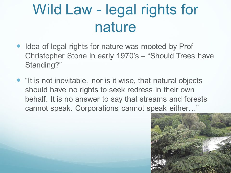 Wild Law - legal rights for nature Idea of legal rights for nature was mooted by Prof Christopher Stone in early 1970s – Should Trees have Standing.