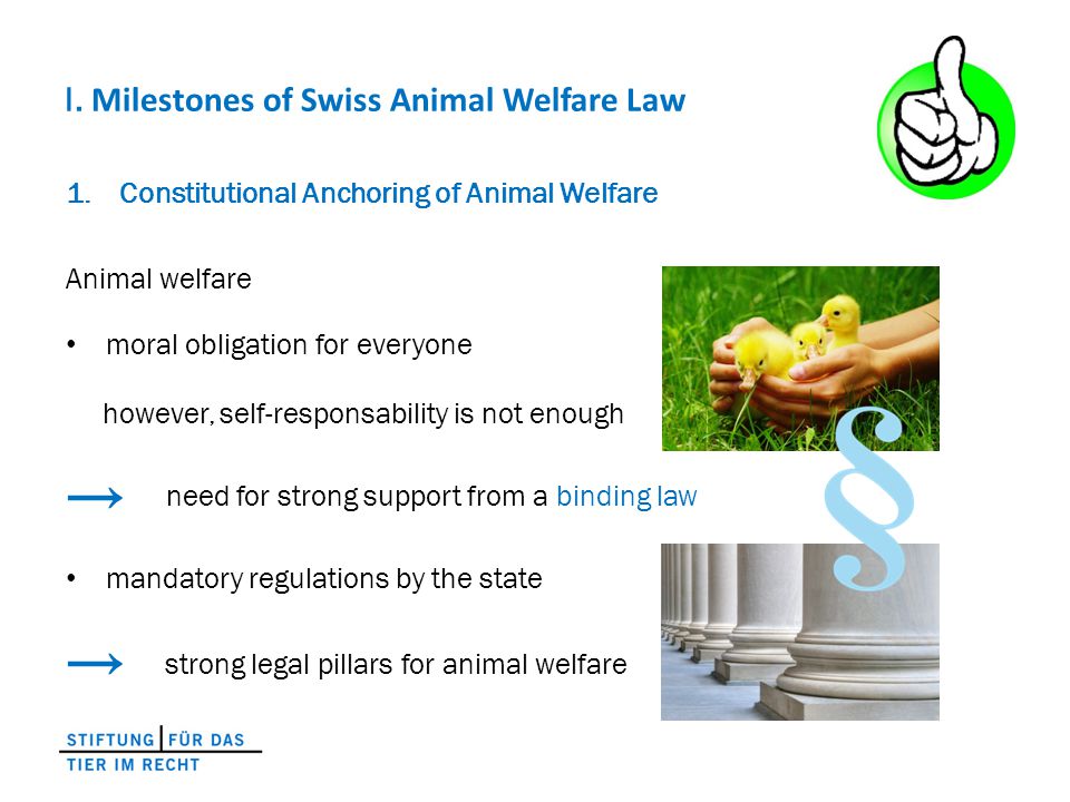 Swiss Animal Law Developments and International Comparison Dr. Gieri  Bolliger Foundation for the Animal in the Law Conference «Animal Law and  Ethics» Zurich, - ppt download