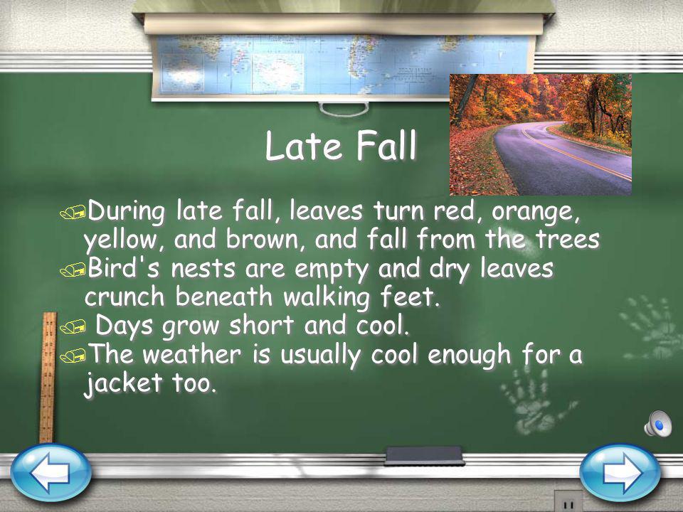 Early Fall / Early Fall is when most children head back to school.