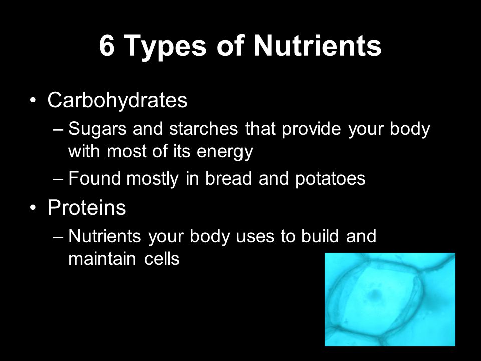 6 Types of Nutrients Carbohydrates –Sugars and starches that provide your body with most of its energy –Found mostly in bread and potatoes Proteins –Nutrients your body uses to build and maintain cells