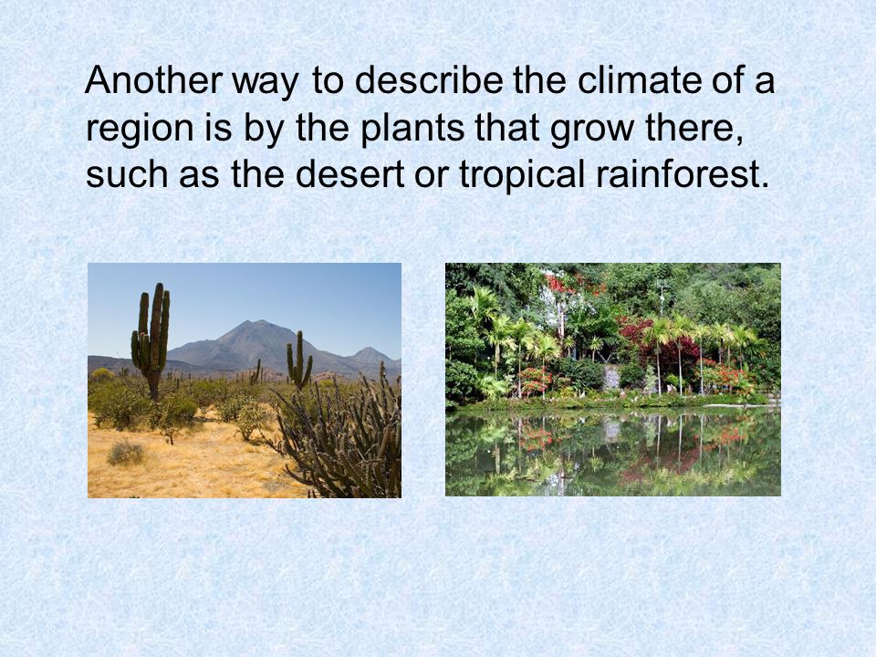 Another way to describe the climate of a region is by the plants that grow there, such as the desert or tropical rainforest.