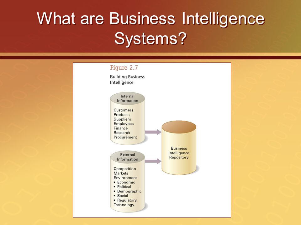 What are Business Intelligence Systems